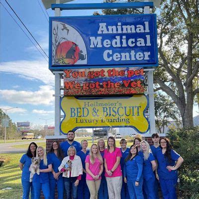 Top-notch Advanced Animal Care in Foley, Alabama - Trust Our Experienced Veterinarians for Your Beloved Pets